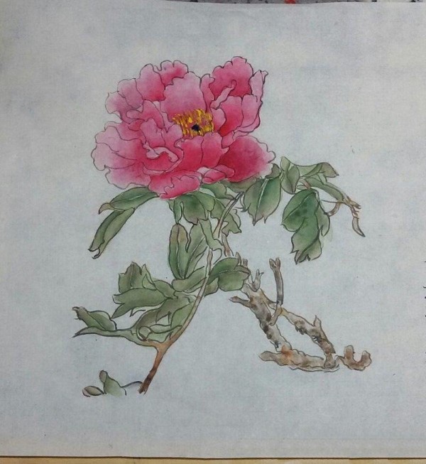 Simple traditional Chinese painting of flowers and birds, part-time writing of peonies