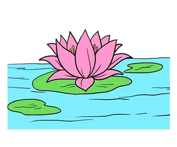 Simple drawing of lotus that is easy to learn