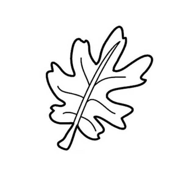 A complete collection of simple strokes of various leaves