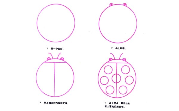 Tutorial on decomposition of simple strokes of seven-star ladybug