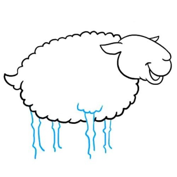 Learn to draw a sheep step by step