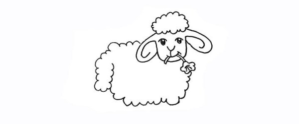 How to draw a little sheep