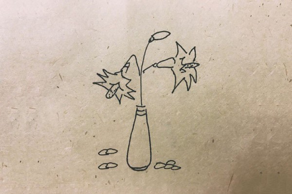 A very artistic set of simple drawings of potted plants