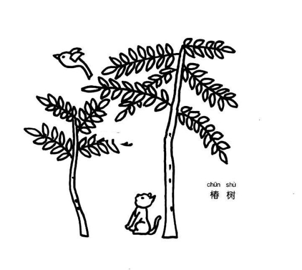 Simple strokes of chun tree