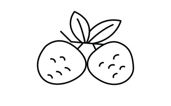 Simple drawing picture of red lychee