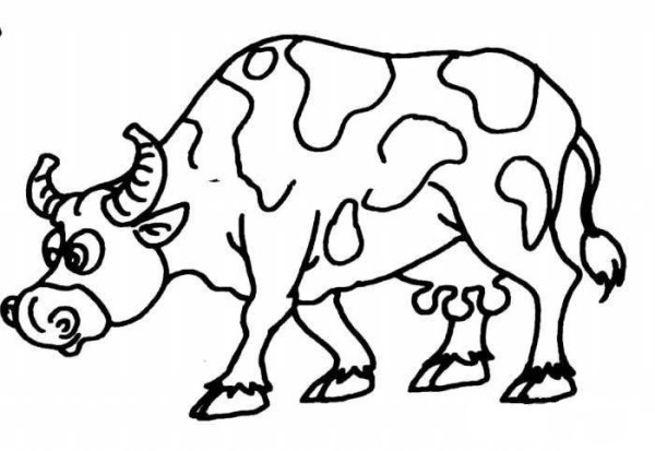 Simple drawing picture of cow eating grass