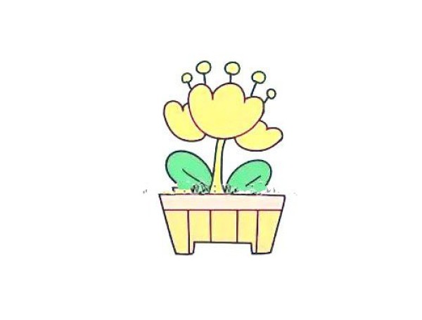 How to draw tulip potted plants