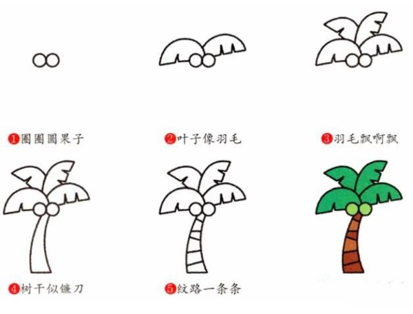 How to draw coconut trees