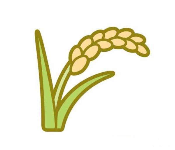 Childrens simple drawing of rice ears