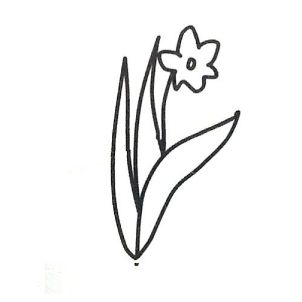 6 beautiful simple drawing pictures of daffodils