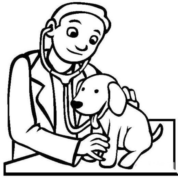 Childrens veterinarian simple drawing pictures