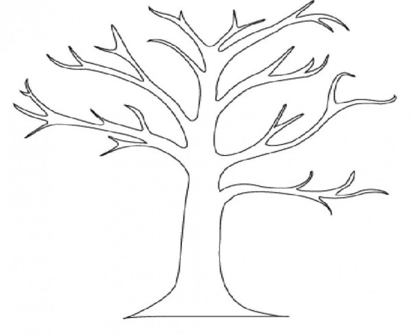 Cartoon tree trunk simple drawing picture