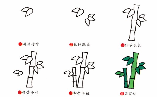 How to draw bamboo in simple strokes