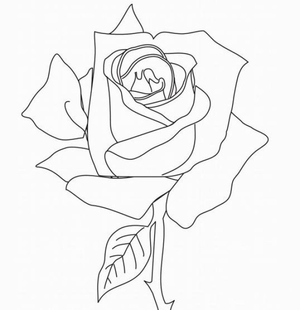 Simple drawing of hand-painted roses. How to draw simple roses.