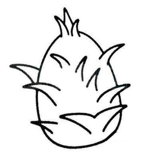 Hand drawn dragon fruit simple strokes picture