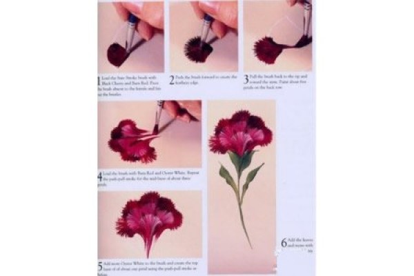 Draw a carnation and give it to your mother. Share the steps of carnation painting.