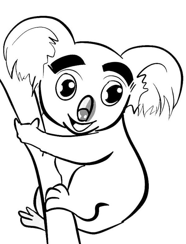 Cute koala simple drawing