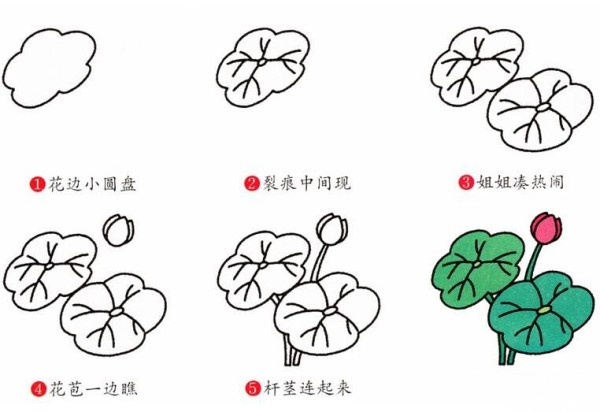 Lotus leaf pictures color