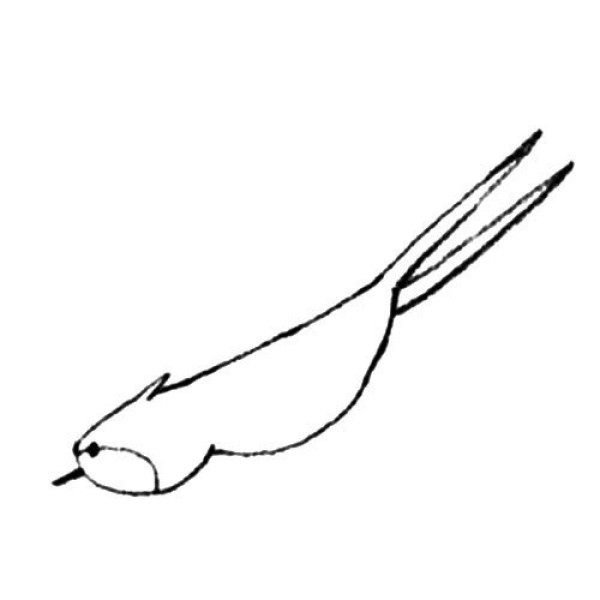 Simple drawing tutorial of swooping swallow