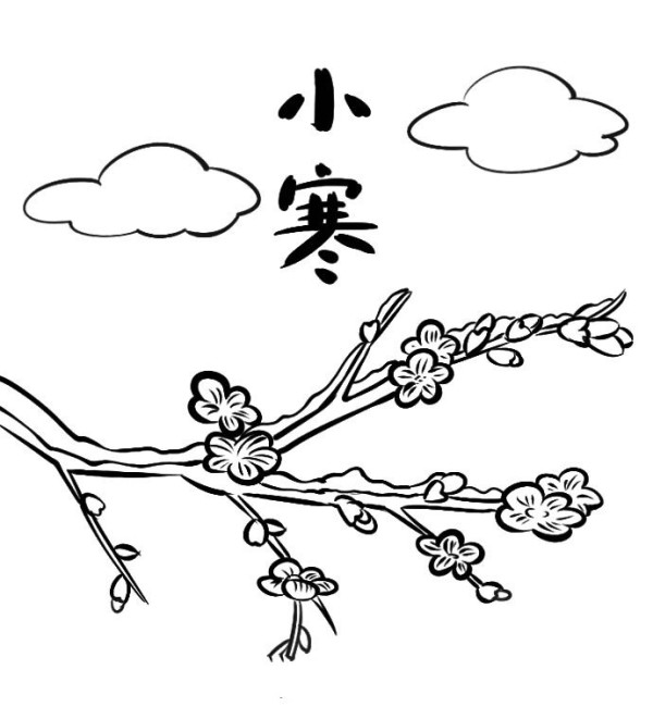 Twenty-Four Solar Terms Xiaohan: Simple Drawing of Plum Blossoms