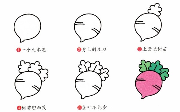 How to draw radish in simple strokes