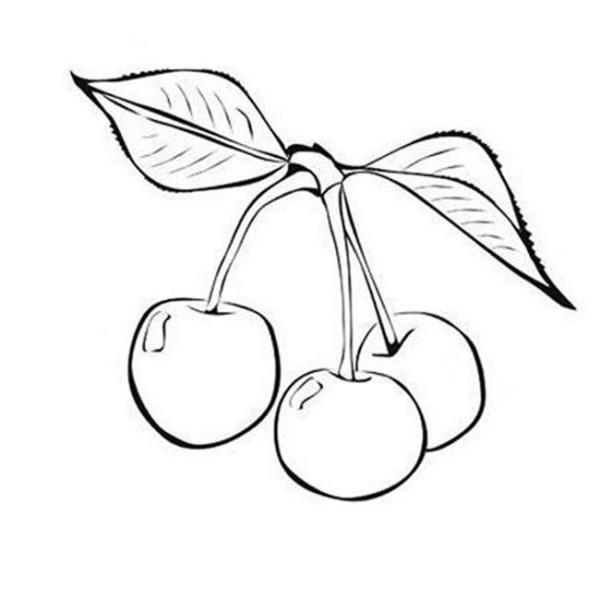 Complete collection of simple drawings of fruits, simple drawings of plums