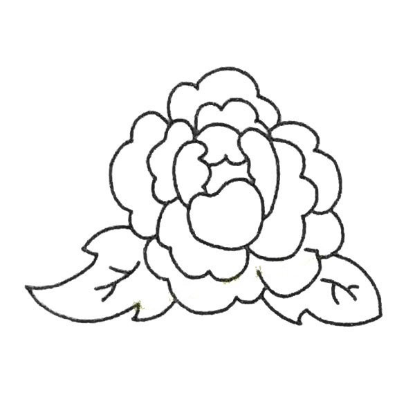 Complete collection of childrens simple drawings Peony simple drawing tutorial