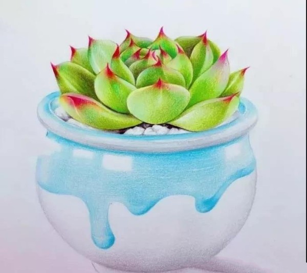 Colored lead painting~Teach you how to draw a combination of succulent flowers and pots!