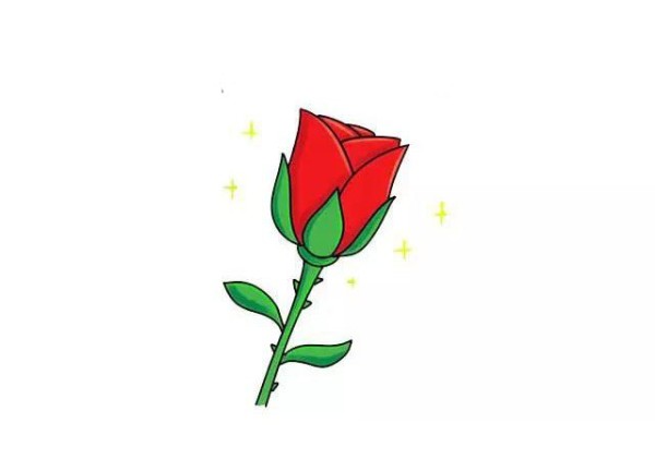 Draw a beautiful red rose