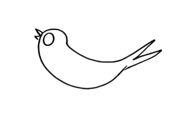 Learn to draw swallows