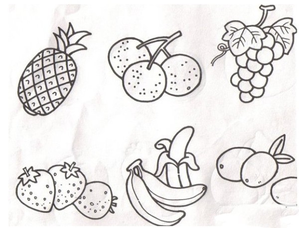 Simple strokes of six types of fruits