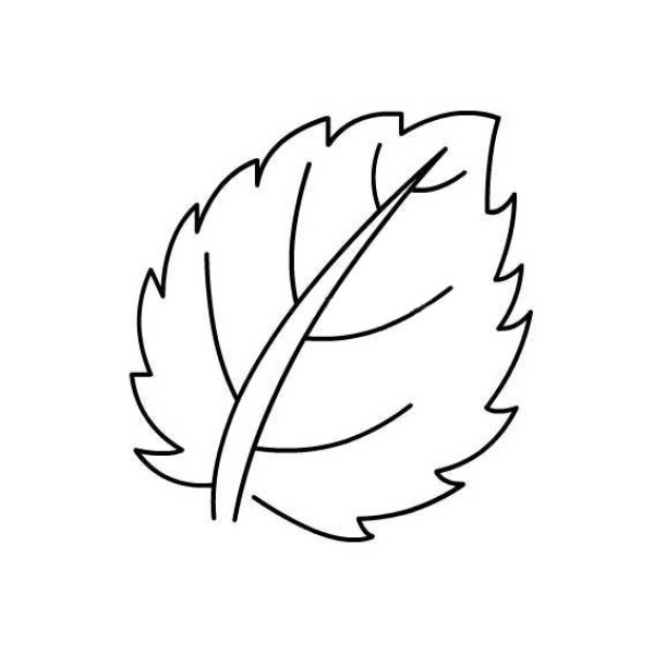 Simple drawing methods of various leaves