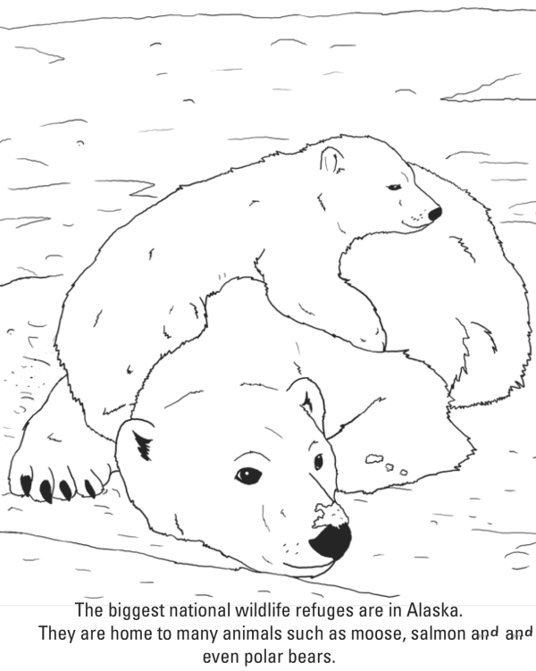 Relaxed polar bear mother and son