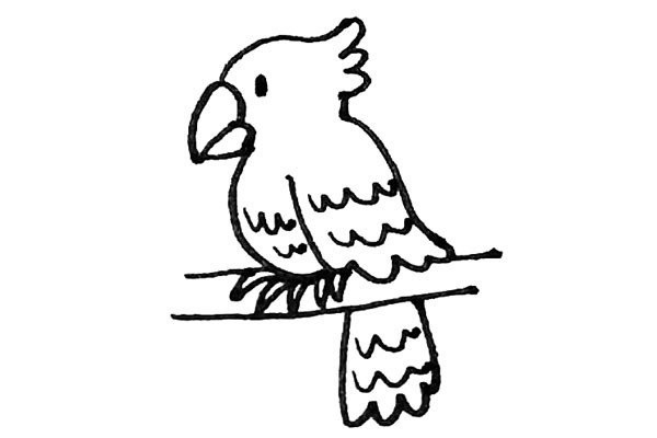 Children learn to draw parrots easily