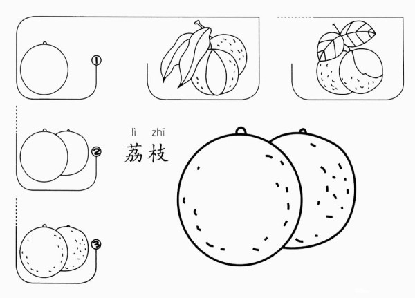 How to draw lychee