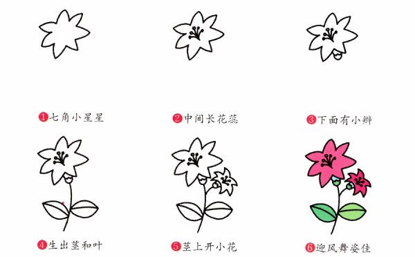 Detailed tutorial on how to draw lilies in simple strokes