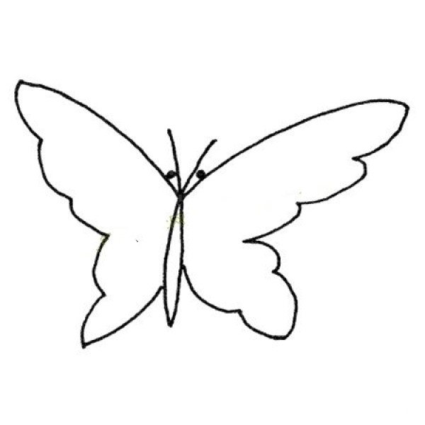 A complete collection of simple butterfly drawing pictures