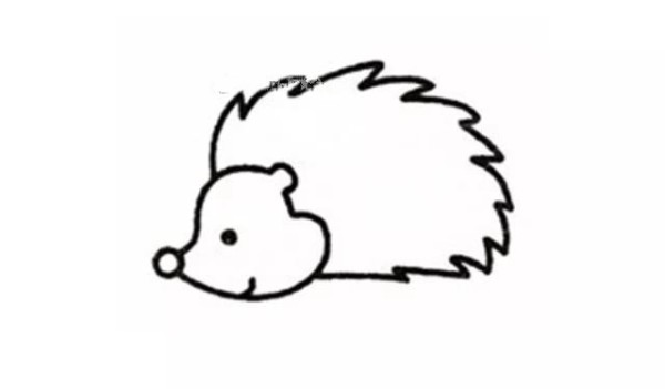 Draw a cute little hedgehog