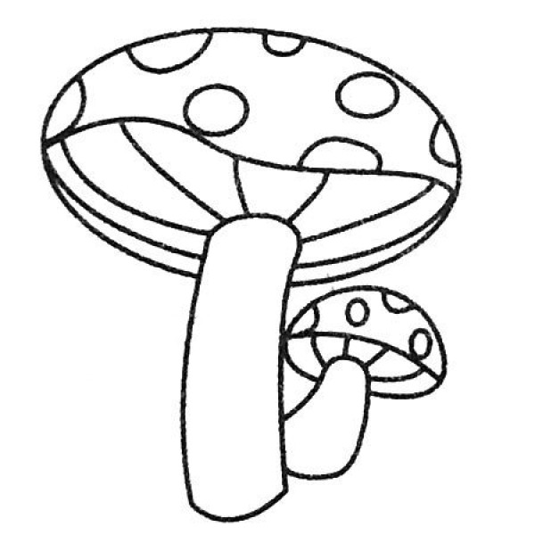 A complete collection of simple drawing pictures of mushrooms