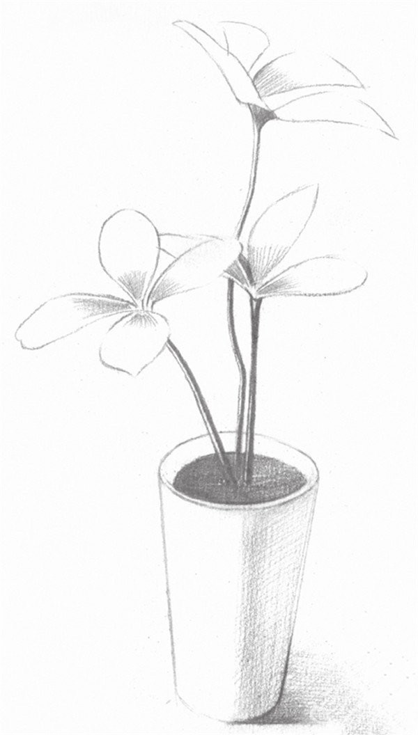 Sketch drawing techniques of four-leaf clover