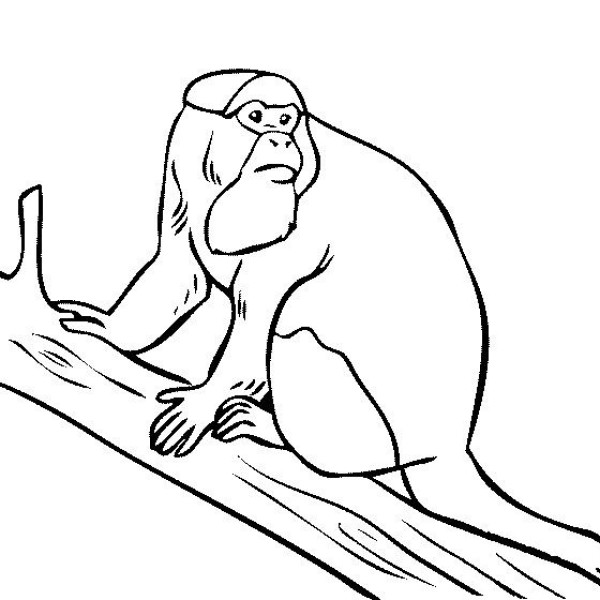 Simple drawings of animals, simple drawings of macaques