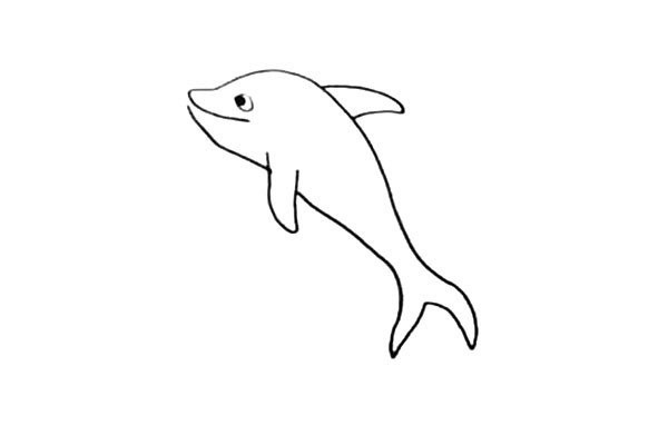 How to draw a dolphin