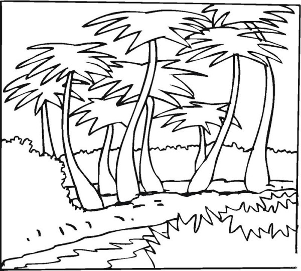 Simple drawing of coconut tree