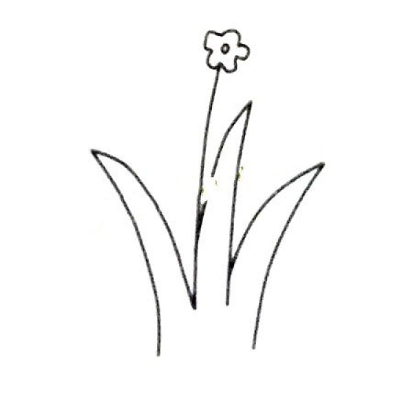 6 beautiful simple drawing pictures of orchids