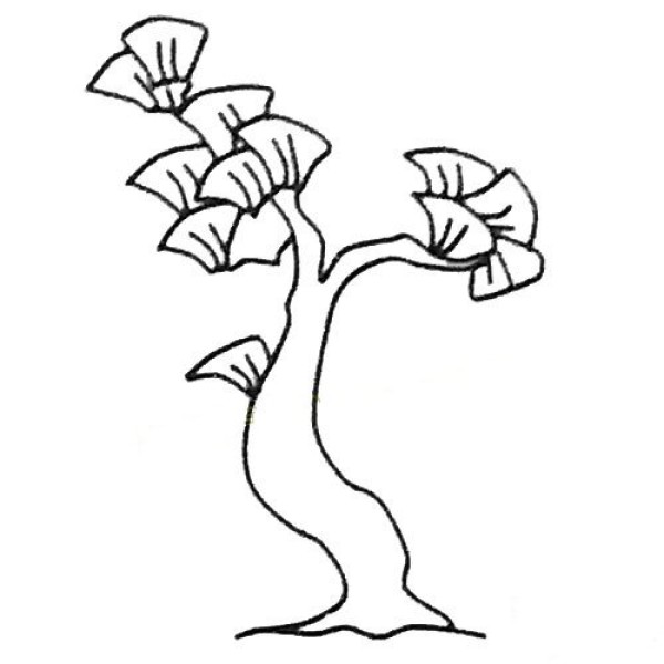 Childrens simple drawing tutorial Ginkgo tree simple drawing tutorial