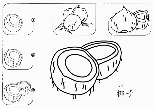 How to draw delicious coconut