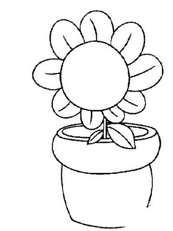 Simple drawing of sunflower in Plants vs. Zombies