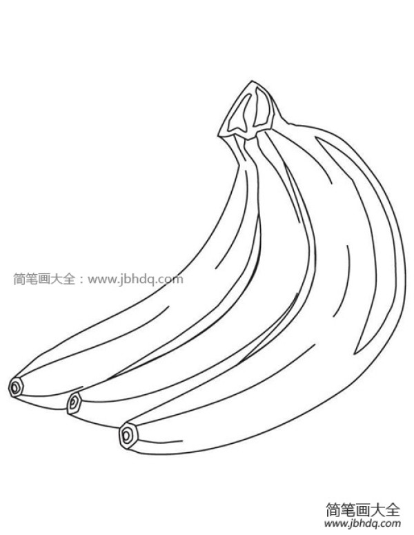 Simple drawing picture of a handful of sweet bananas