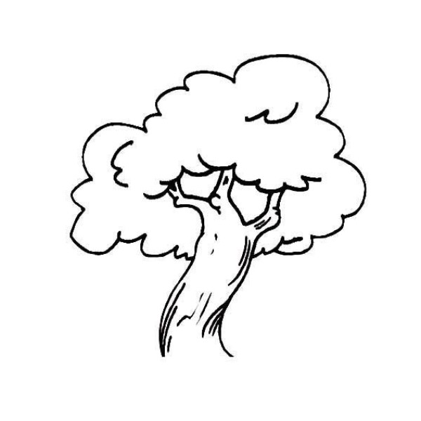 Complete collection of simple plant drawings and simple drawing pictures of big trees