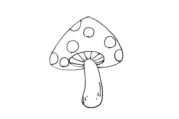 How to draw beautiful mushrooms